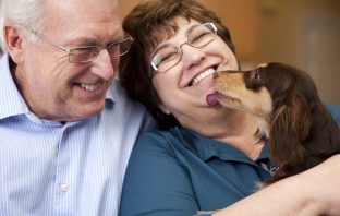 Here Are 2018’s Top Dog Breeds For Seniors