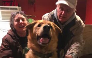 Missing Dog Found After Surviving 10 Months in New Hampshire Wilderness