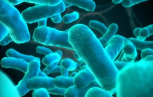 189 Dead In Largest Listeria Outbreak In History