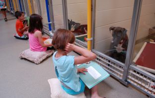 Reading With A New Purpose