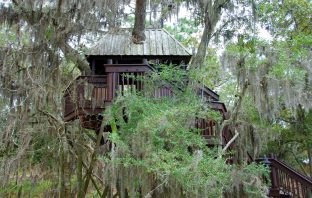 Spend A Night In A Treehouse This Year
