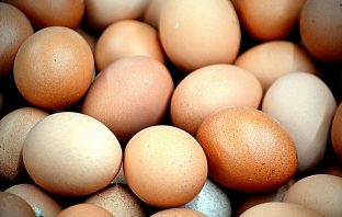 This Giant Omelette Festival Is Truly Eggs-cellent