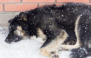 Leave Them In The Cold — Go To Jail Do Not Pass GO
