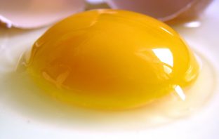 The Color Of An Egg’s Yolk Can Speak Volumes