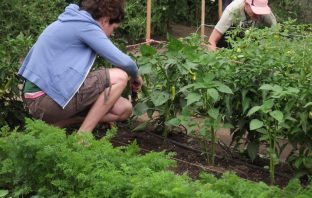 Studies Show That Gardening May Very Well Replace The Gym—Gives One Heck Of A Work Out