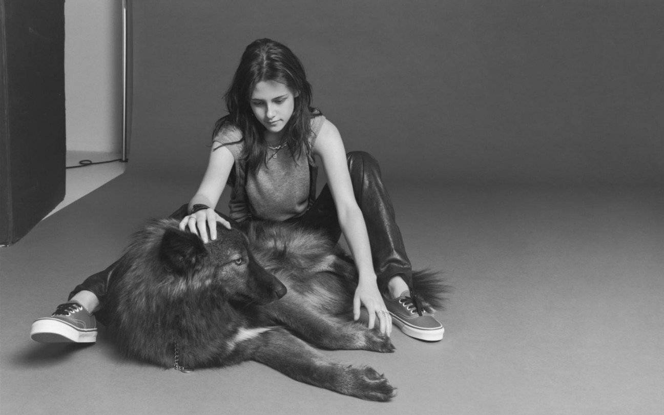 kristen stewart wolf dog