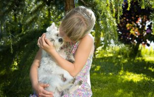 Super Common Pet Parent Behaviors That Animals Actually Hate