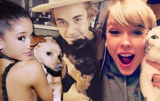Celebrities You’d Never Expect to Have a Ton of Pets