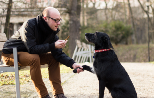 Talking To Your Dog Is A Good Thing