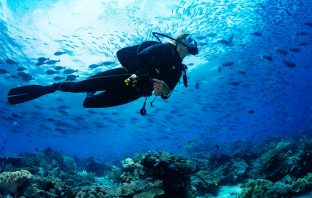 Bahrain to Open Underwater Theme Park in 2019