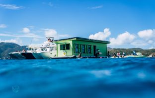 Visit the Floating Taco Bar in the Caribbean