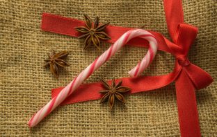 Candy Canes Contain A Silent Killer For Pets
