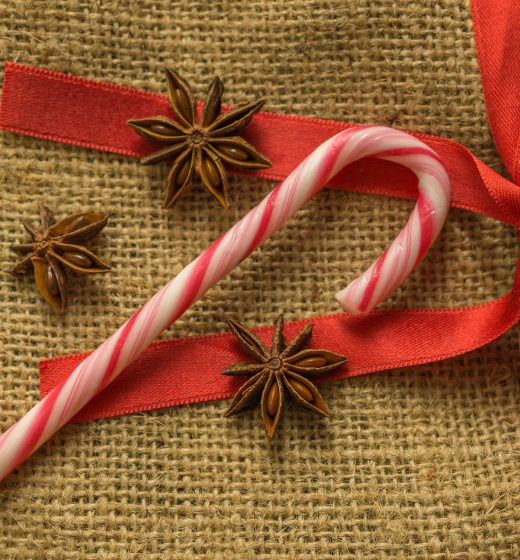 Candy Canes Contain A Silent Killer For Pets