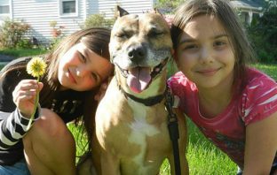 Pets Are Members Of The Family