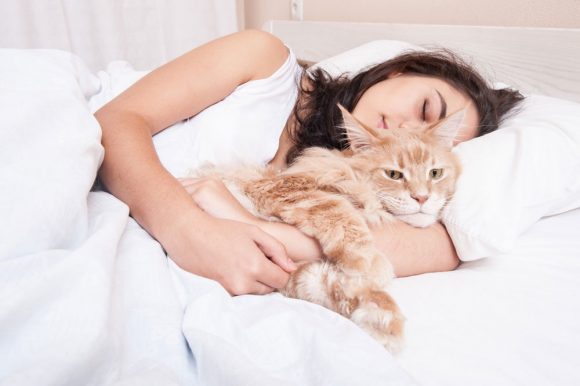 are there any animals that dont sleep are there any animals that dont sleep
