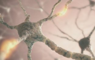 Human Brain Cells Grow Zombie-Like Tentacles After Death